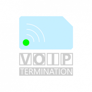 Voice Over Internet Protocol Termination
